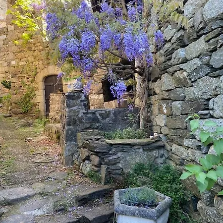 La Maisonnette Des Cevennes *