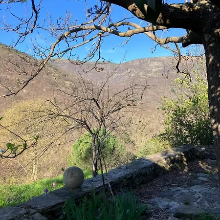 La Maisonnette Des Cevennes Сasa de vacaciones *