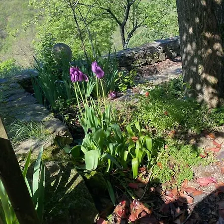 Сasa de vacaciones La Maisonnette Des Cevennes *